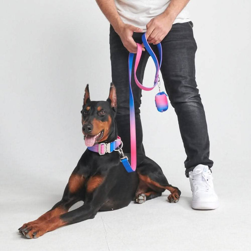 Tactical Dog Collar - Snow Cone (1.5"/4cm)