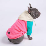 premium dog apparel sweater hoodies for winter, suitable for pit bulls, french bulldogs, big dogs, pugs, staffies and more