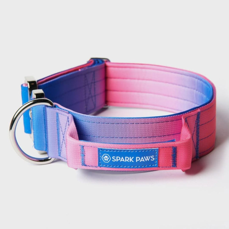 Tactical Dog Collar - Snow Cone (2"/5cm)