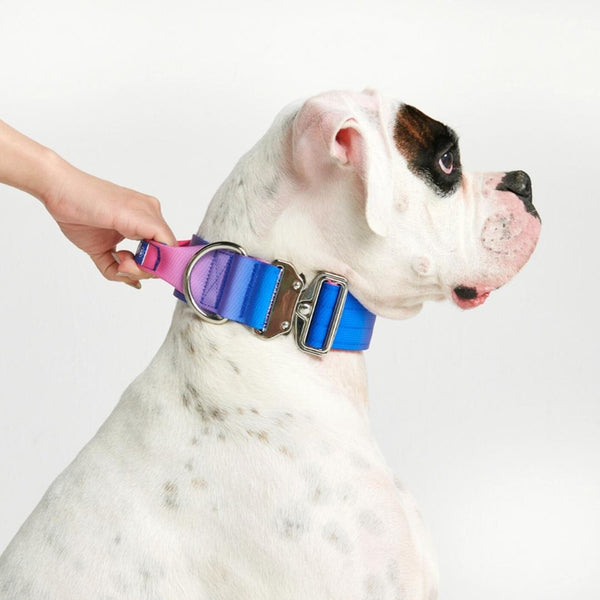 Tactical Dog Collar - Snow Cone (2"/5cm)
