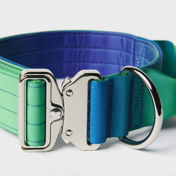 Tactical Dog Collar - Lime Wave (2"/5cm)