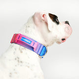 Tactical Dog Collar - Snow Cone (2"/5cm)