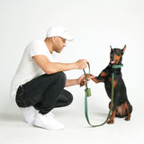 Tactical Dog Collar - Army Green (1.5"/4cm)